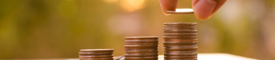 The Snyder Foundation